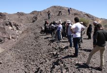 گزارش تصویری از بازدید  کارگاه آموزشی متالوژنی ایران؛ با موضوع تخصصی متالوژنی کانسارهای مس ایران- از معدن و کارخانه مس عباس آباد- 7 خرداد